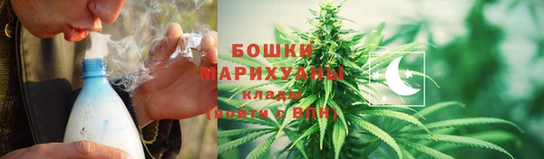 ПСИЛОЦИБИНОВЫЕ ГРИБЫ Аркадак