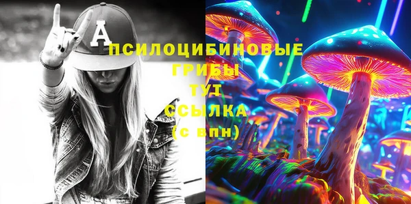 мяу мяу мука Баксан