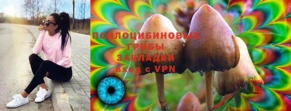 МДПВ Вязники