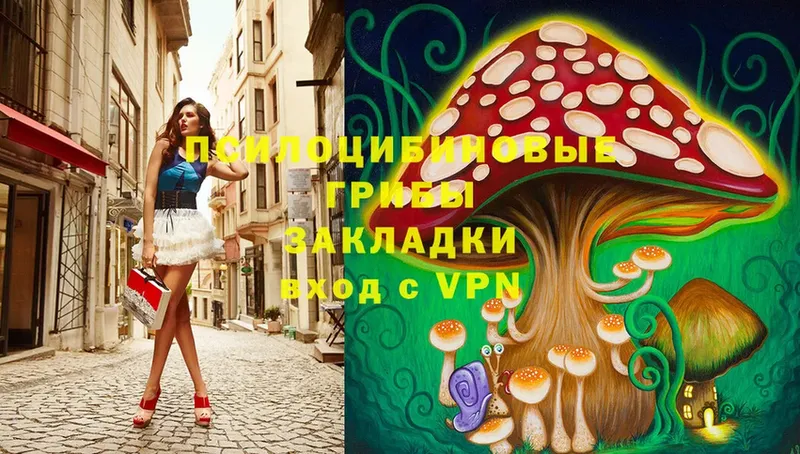 Псилоцибиновые грибы MAGIC MUSHROOMS  Калачинск 